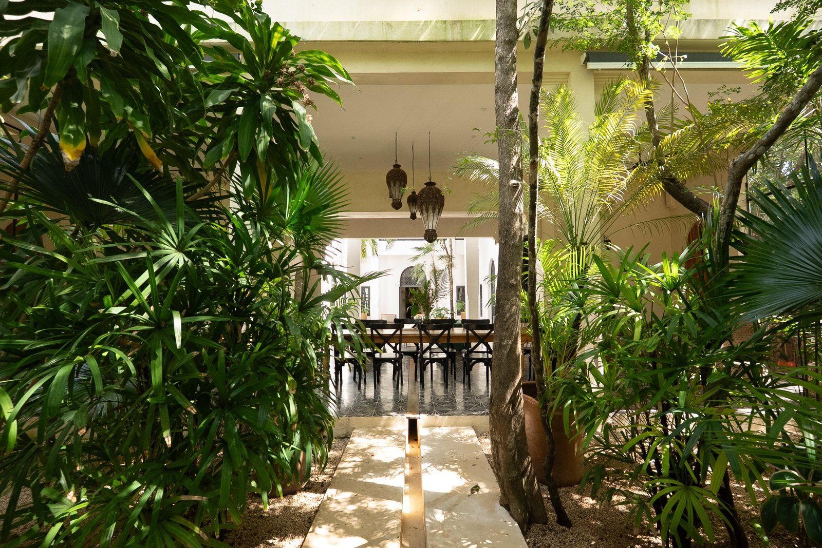 The courtyard long table seen through the palms